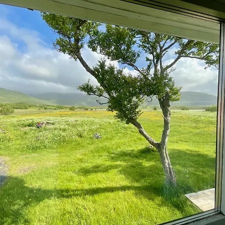 Feriehus The Birch Grove House Lofoten